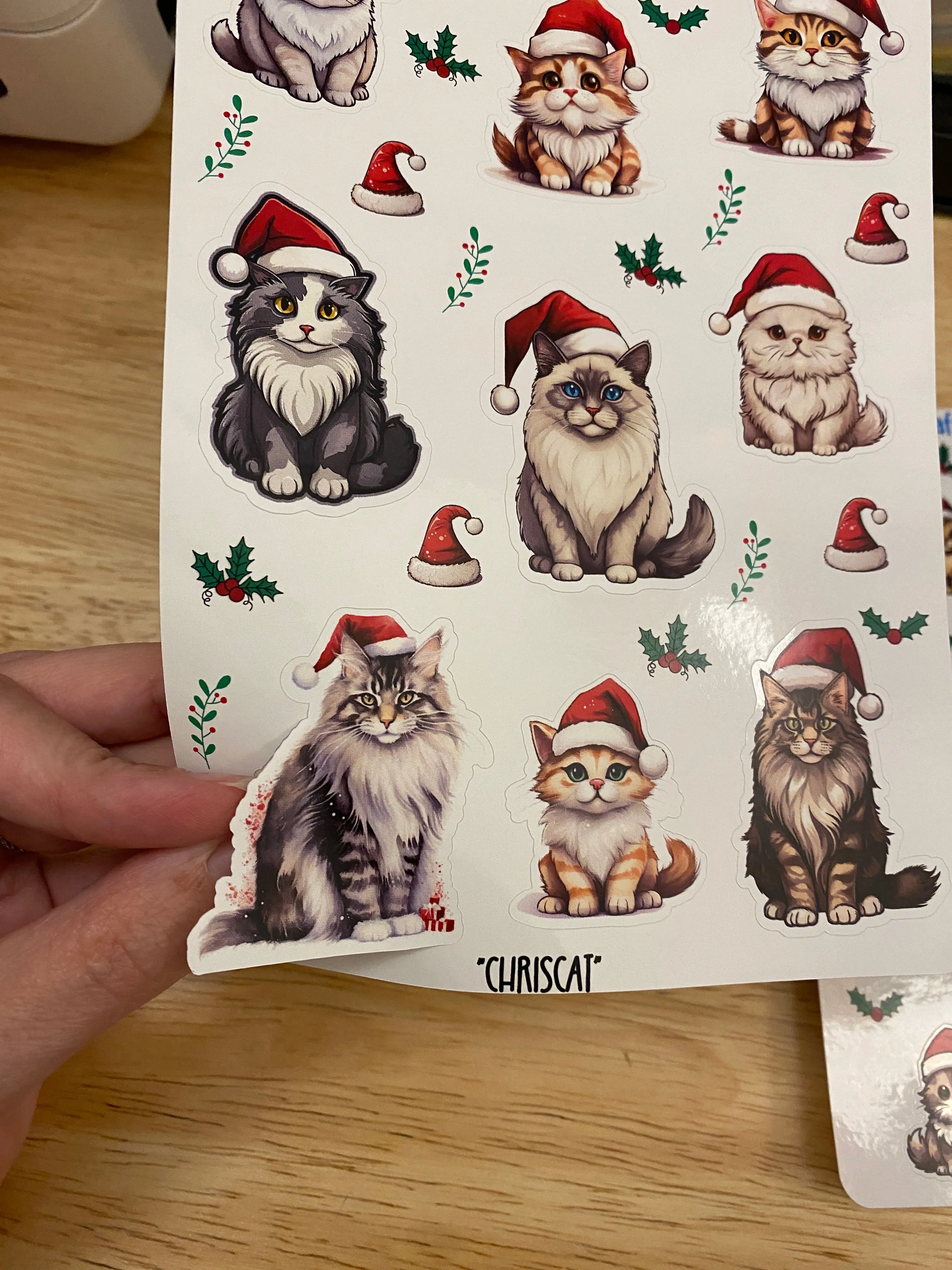 2 sheets Santa kitties sticker, Santa cats Sticker Sheet, cat Sticker Sheet, Christmas Kitties, Christmas Cat Stickers, Cat with Santa hat