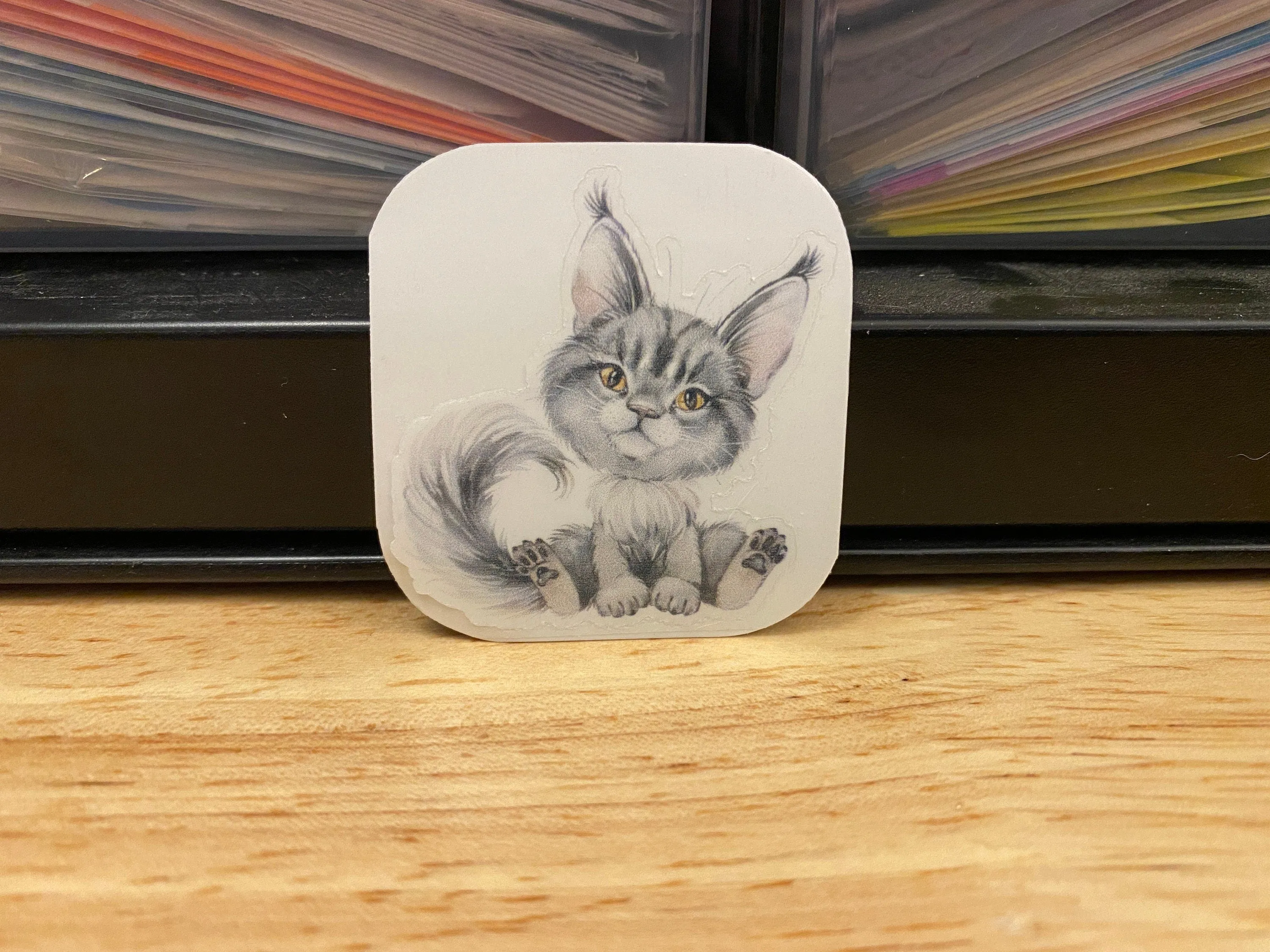 Blue Maine Coon STICKER