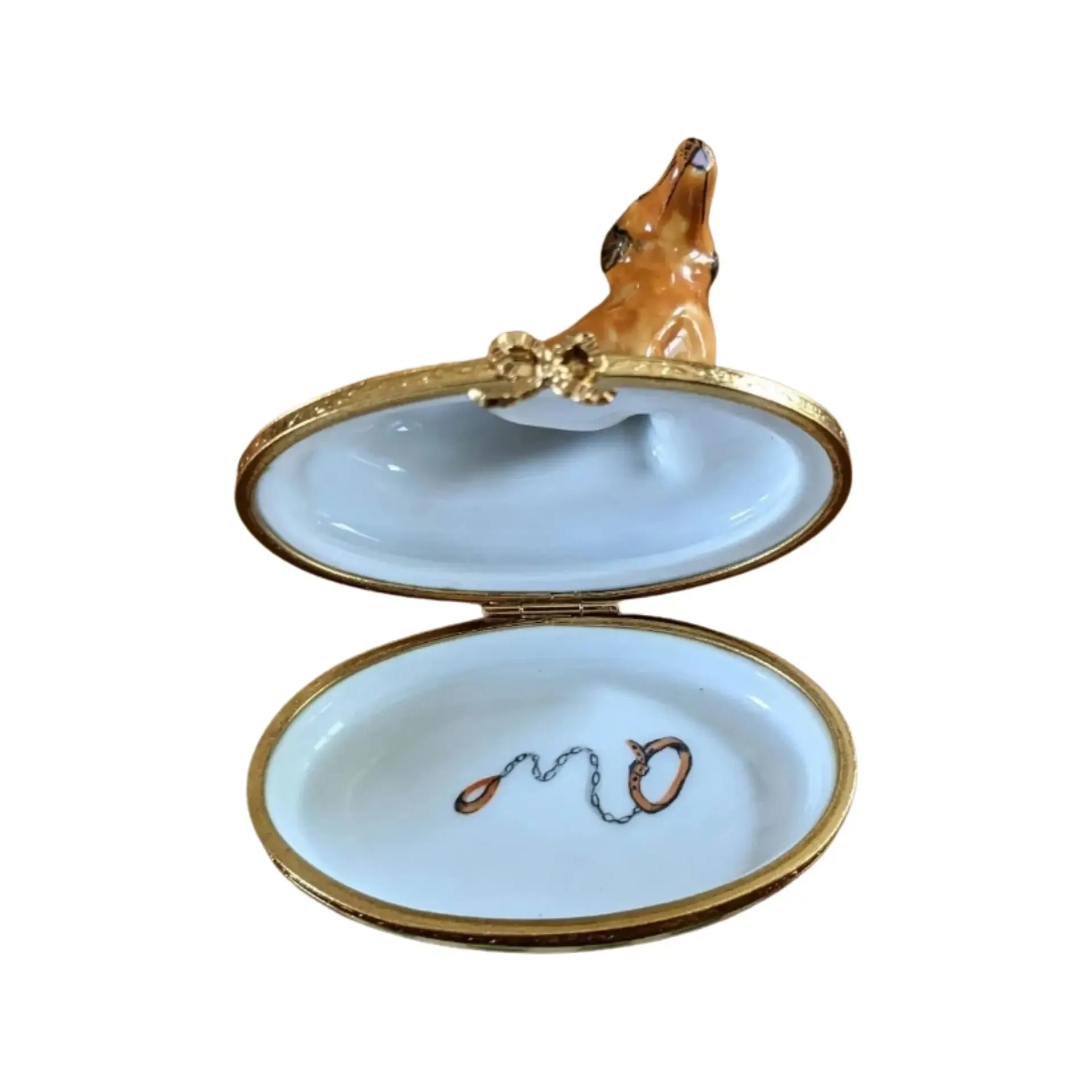 Dachshund: Brown Dog