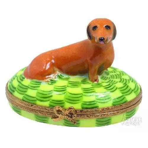 Dachshund: Brown Dog