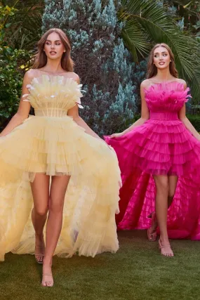 HIGH LOW RUFFLED TULLE GOWN WITH FEATHER DETAILS CDA1240